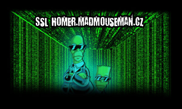 homer.madmouseman.cz